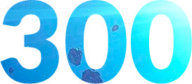 Свыше 300 разработанных успешных сайтов